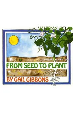 From Seed to Plant