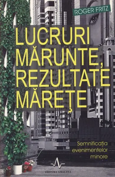 Lucruri mărunte, rezultate mărețe - Paperback - Roger Fritz