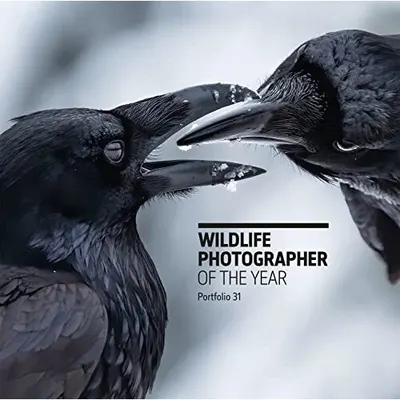 Wildlife Photographer Of The Year: Portfolio 31