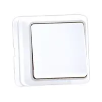 Intrerupator simplu Eco Premium aparent