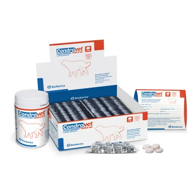 Condrovet Force HA Caini Large Breeds