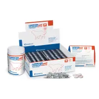 Condrovet Force HA Caini Large Breeds
