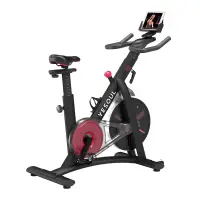 Bicicleta fitness YESOUL Spinning Bike S3, Black - Default Title
