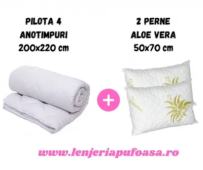 Pilota 200x220cm, 4 Anotimpuri + 2 Perne 50x70cm, Aloe Vera