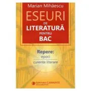 Eseuri de literatura pentru Bacalaureat