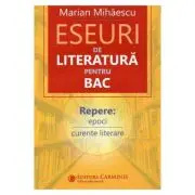 Eseuri de literatura pentru Bacalaureat