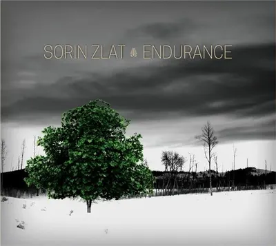 Endurance