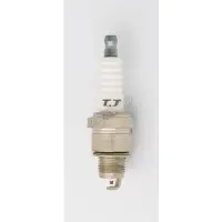 Bujie Denso Wf20tt