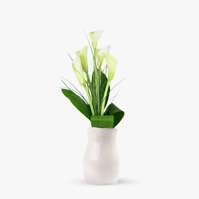 Buchet de 5 cale albe