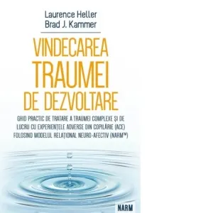 Vindecarea traumei de dezvoltare. Ghid practic de tratare a traumei complexe si de lucru cu experientele adverse din copilarie (ACE) folosind Modelul Relational Neuro-Afectiv (NARM)