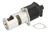 Supapa Egr Nissan Interstar; Opel Vivaro A; Renault Avantime, Espace Iii, Espace Iv, Laguna Ii, Master Ii 2.2d 2.5d Dupa 2000