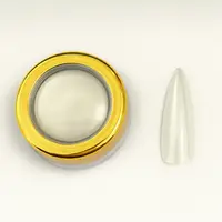 Pigment Unghii Nailsup Efect Perlat Silver