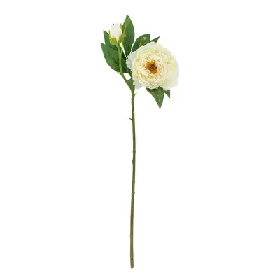 Plantă artificială (înălțime 62 cm) Peony – Bloomingville