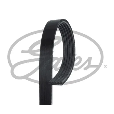 Curea transmisie cu caneluri GATES 5PK918