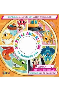Secretele animalelor cu albinuta Fifi. 5 spirale cu secrete din lumea animalelor!