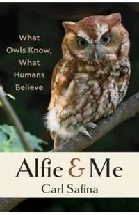 Alfie and Me: What Owls Know, What Humans Believe