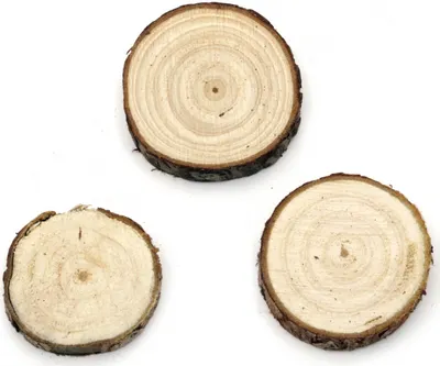 Discuri de lemn Em art - 3-5 x 1 cm (5 buc.)