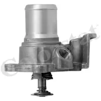 Termostat, lichid racire CALORSTAT by Vernet TH7081.82J