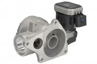 Supapa Egr Potrivit Mercedes Sprinter 2-T (b901, B902), Sprinter 3-T (b903), Sprinter 4-T (b904), Sprinter 5-T (b905) 2.7d 04.00-05.06