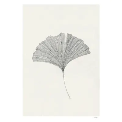 Poster 50x70 cm Ginkgo Leaf – Ana Frois – The Poster Club