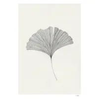 Poster 50x70 cm Ginkgo Leaf – Ana Frois – The Poster Club
