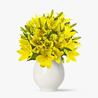 Buchet de 45 crini asiatici galbeni