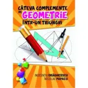 Cateva complemente de geometrie intr-un triunghi