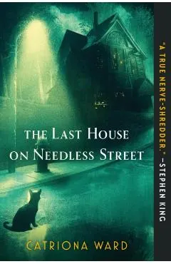 The Last House on Needless Street