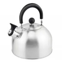 Ceainic Inox cu Fluier, Exterior Polishat, Capacitate 3 l