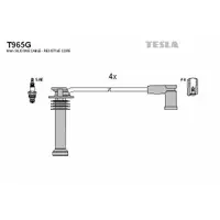 Set cablaj aprindere TESLA T965G