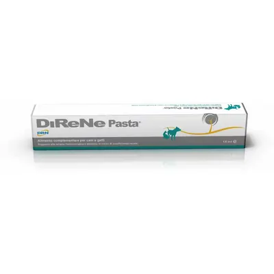 DIRENE Pasta, 15 ml
