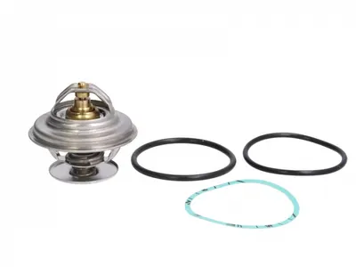 Termostat lichid racire (79 C, cu garnitura) potrivit IVECO EUROSTAR, EUROTECH MP, EUROTRAKKER, P PA, P PA-HAUBENFAHRZEUGE; MAN CLA, E2000, EM, F2000, F9, F90 8210.22.210-F8L513 04.74