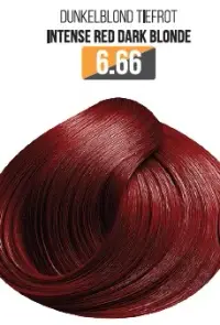 Vopsea Profesionala Fara Amoniac EVOQUE USA, Nuanta 6.66 INTENSE RED DARK BLONDE - Cu Ulei de Argan si 12 Aminoacizi, 100 ml - Evoque