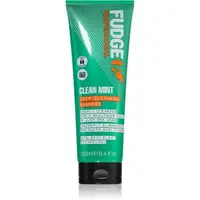 Fudge Clean Mint Shampoo șampon pentru păr gras