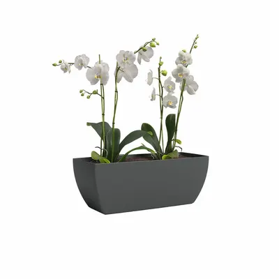 Jardinieră din plastic reciclat 30 cm Siena – Artevasi