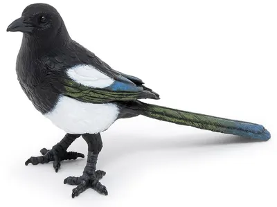 Papo Wild Animal Kingdom - figurină Magpie