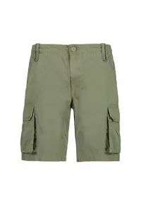 Pantaloni scurti trekking barbati 3U66477 - Verde deschis