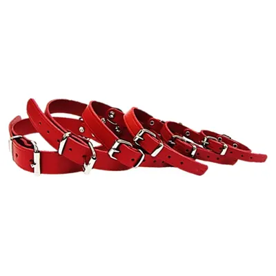 Pet Expert Zgarda Clasic Rosu - nr-2