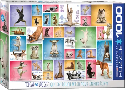 Puzzle Eurographics din 1000 de piese - Yoga catelusii