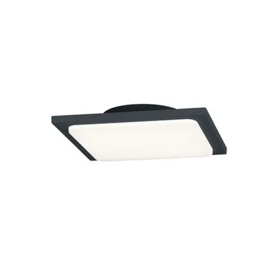 Aplica tavan / Plafoniera Trave 1x18W LED 1750lm 3000K, Antracit