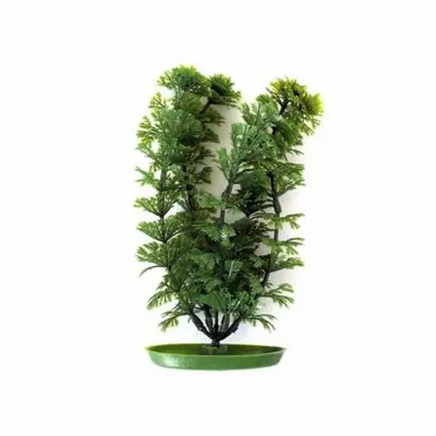 Marina Planta Ambulia 20 cm PP832