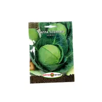 Seminte varza de toamna de Buzau, Prima Sementi - Default Title