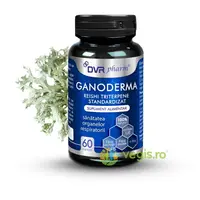 Ganoderma Reishi Triterpene Standardizat 60cps