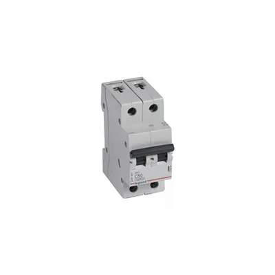 Siguranta automata MCB RX³ 6000 - 2P - 230/400 V~ - 50 A - C curba - prong-type supply busbars