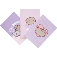 Set 3 Notebooks A6 Pusheen Moments