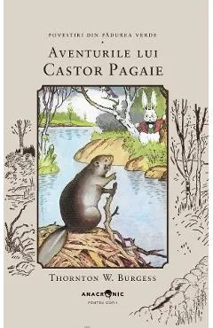 Aventurile lui Castor Pagaie. Seria Povestiri din Padurea Verde Vol.14