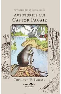 Aventurile lui Castor Pagaie. Seria Povestiri din Padurea Verde Vol.14