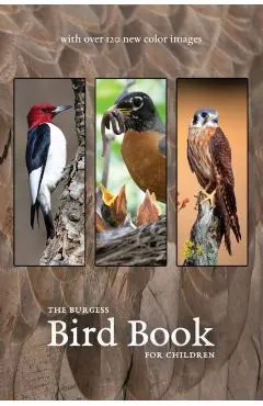 The Burgess Bird Book with new color images
