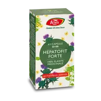 Hepatofit forte, 63 capsule, Fares
