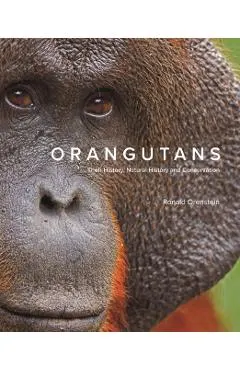 Orangutans: Their History, Natural History and Conservation